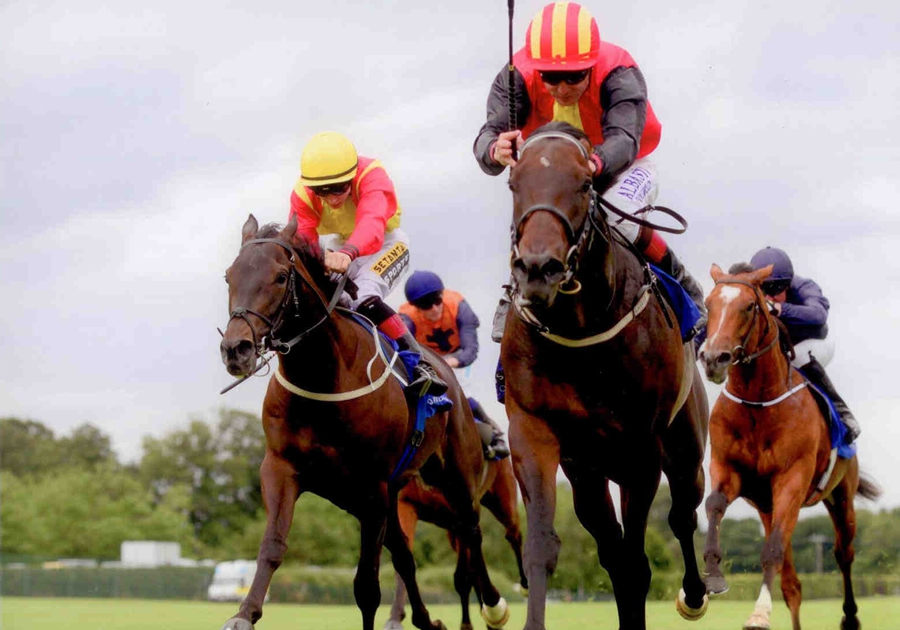 Bertie Le Belge Leopardstown 3rd July 2014